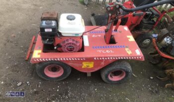 CAMON petrol turf cutter For Auction on: 2024-07-13 full