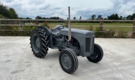 1955 FERGUSON TEF 20 For Auction on 2024-09-21 at 08:30