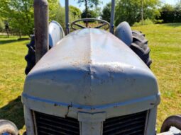 1955 Ferguson TEF20 2WD Diesel Tractor full