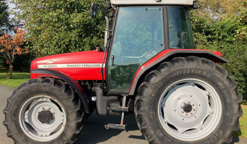 Used Massey Ferguson 4365 tractor full