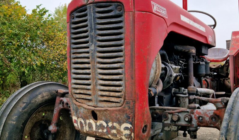 1962 Massey Ferguson 35 Vineyard Tractor full