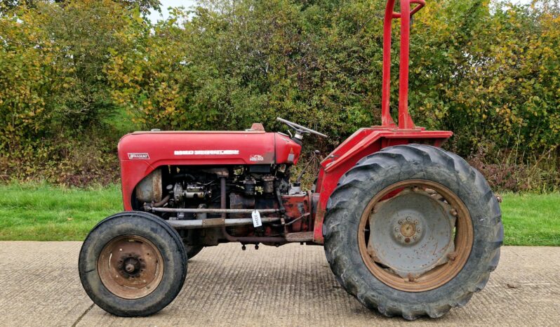 1962 Massey Ferguson 35 Vineyard Tractor full