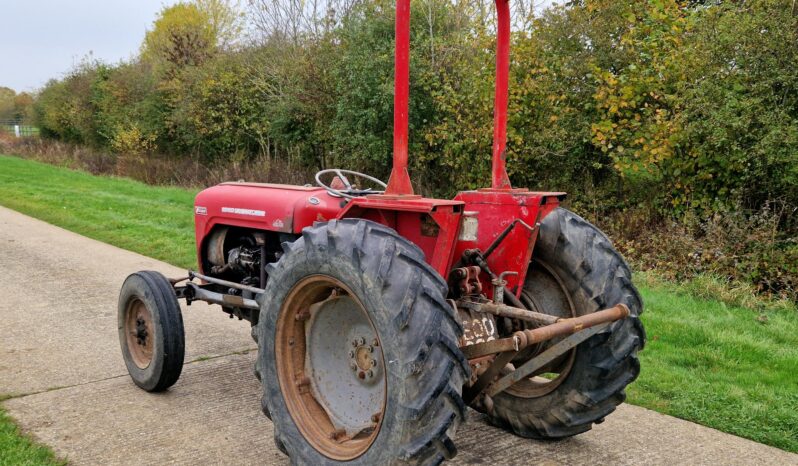 1962 Massey Ferguson 35 Vineyard Tractor full