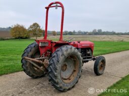 1962 Massey Ferguson 35 Vineyard Tractor full