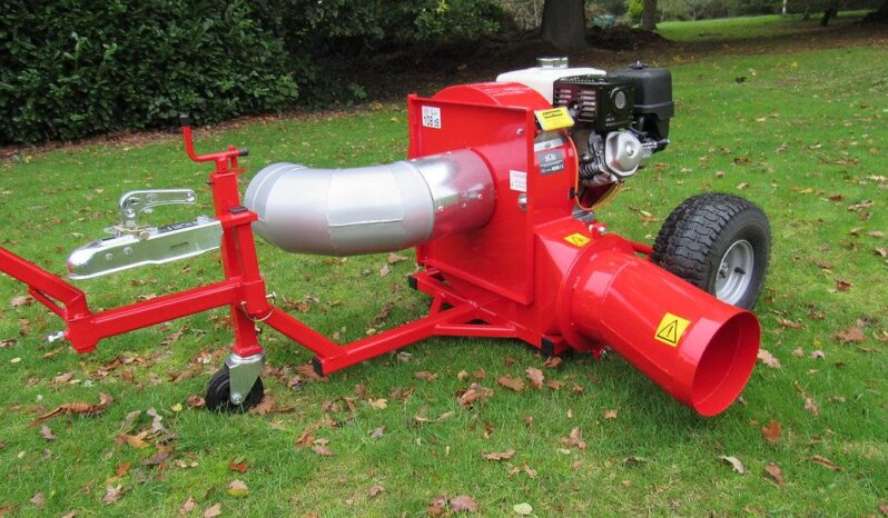 Leaf Blower Petrol Engine full