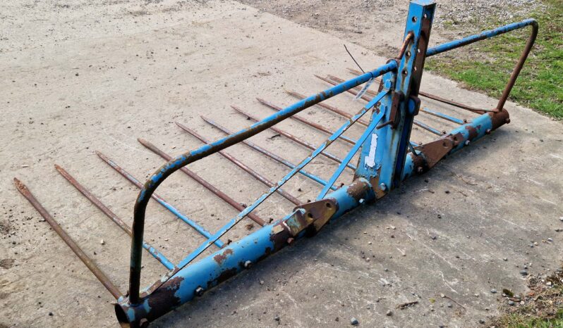 Twose Mounted Buck Rake full