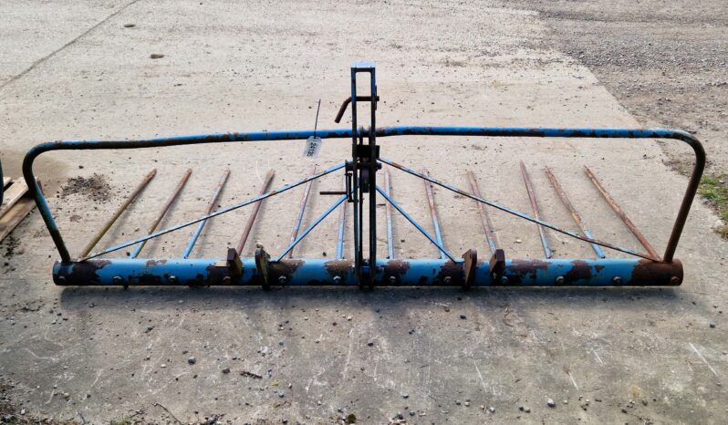 Twose Mounted Buck Rake full
