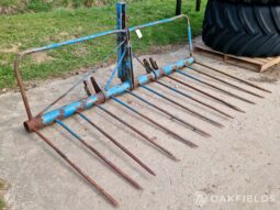 Twose Mounted Buck Rake full