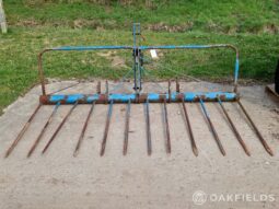 Twose Mounted Buck Rake full