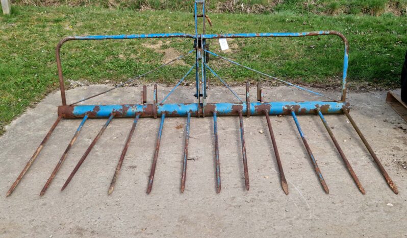 Twose Mounted Buck Rake full