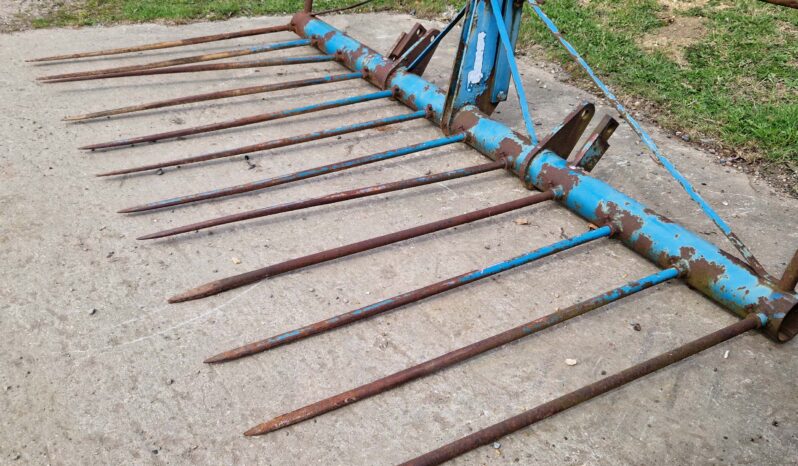 Twose Mounted Buck Rake full