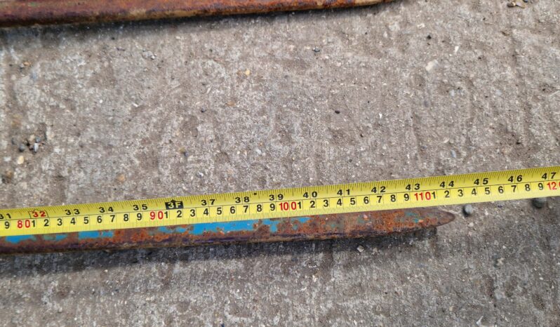 Twose Mounted Buck Rake full